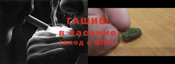 гидра Арсеньев