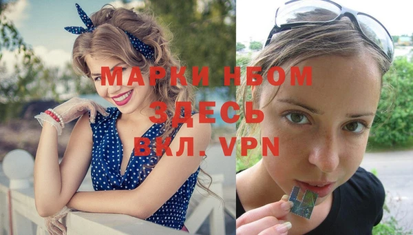 стафф Аркадак