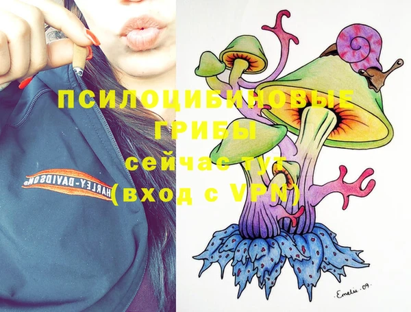 PSILOCYBIN Армянск