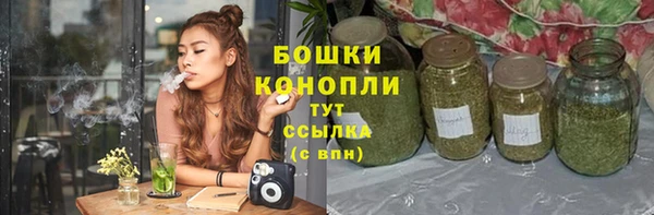 гидра Арсеньев